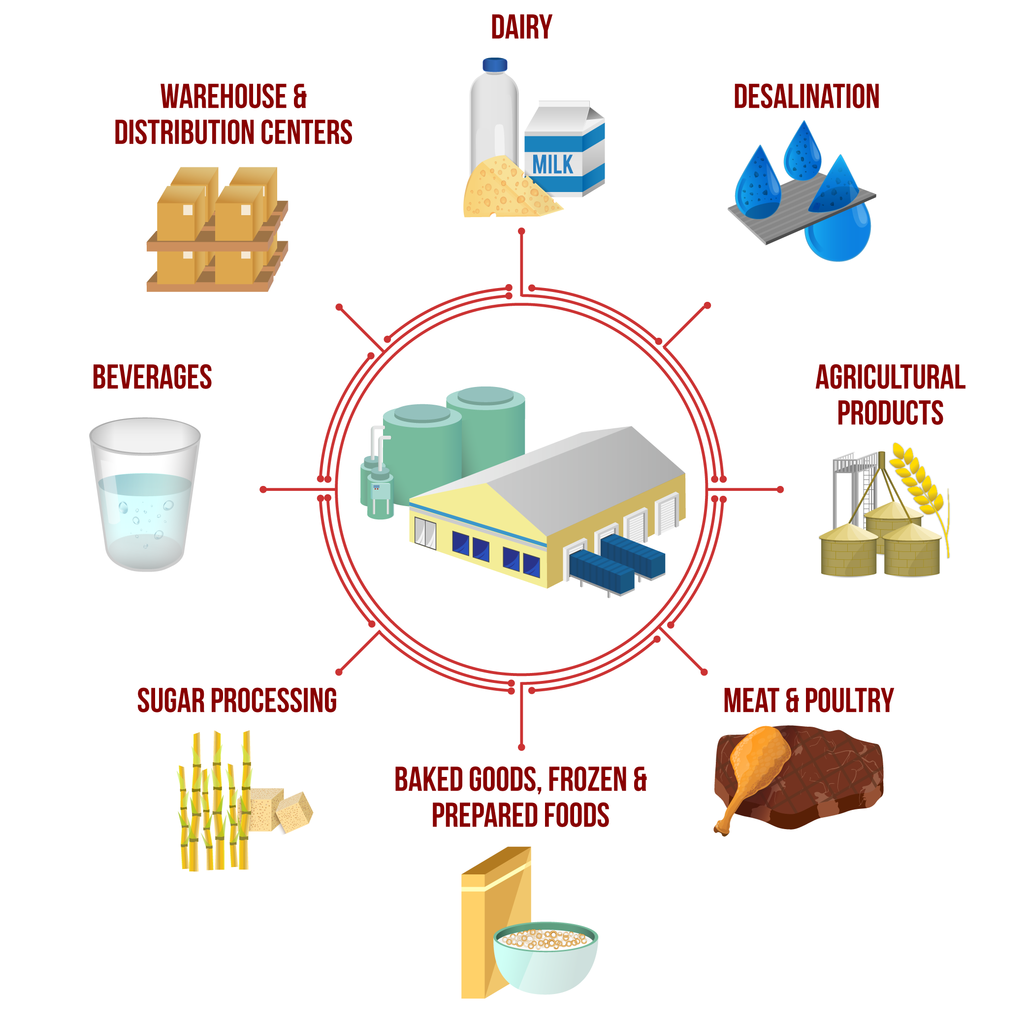 Industry industrial canned vegetables