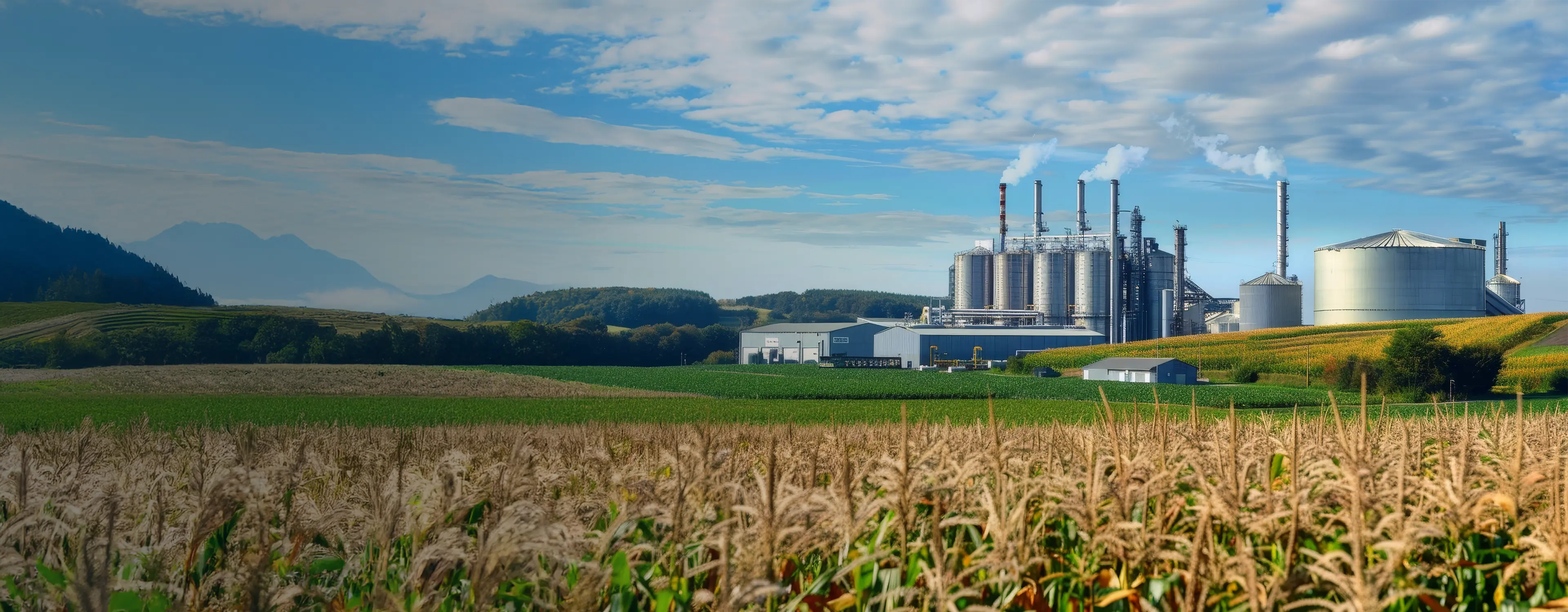 Global Renewable Fuels Market Intelligence Hero Image