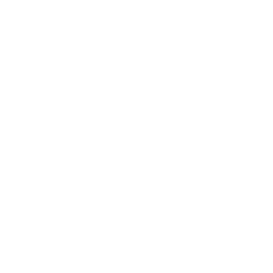 Aurora by Energy Exemplar Logo