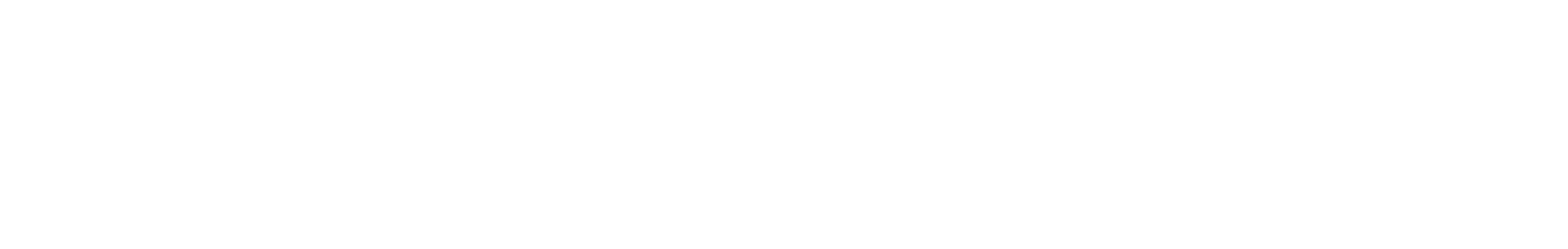 SynMax  Logo