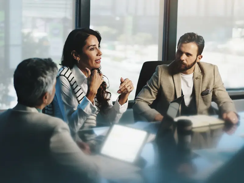 C-Suite Executives & Strategic Leaders