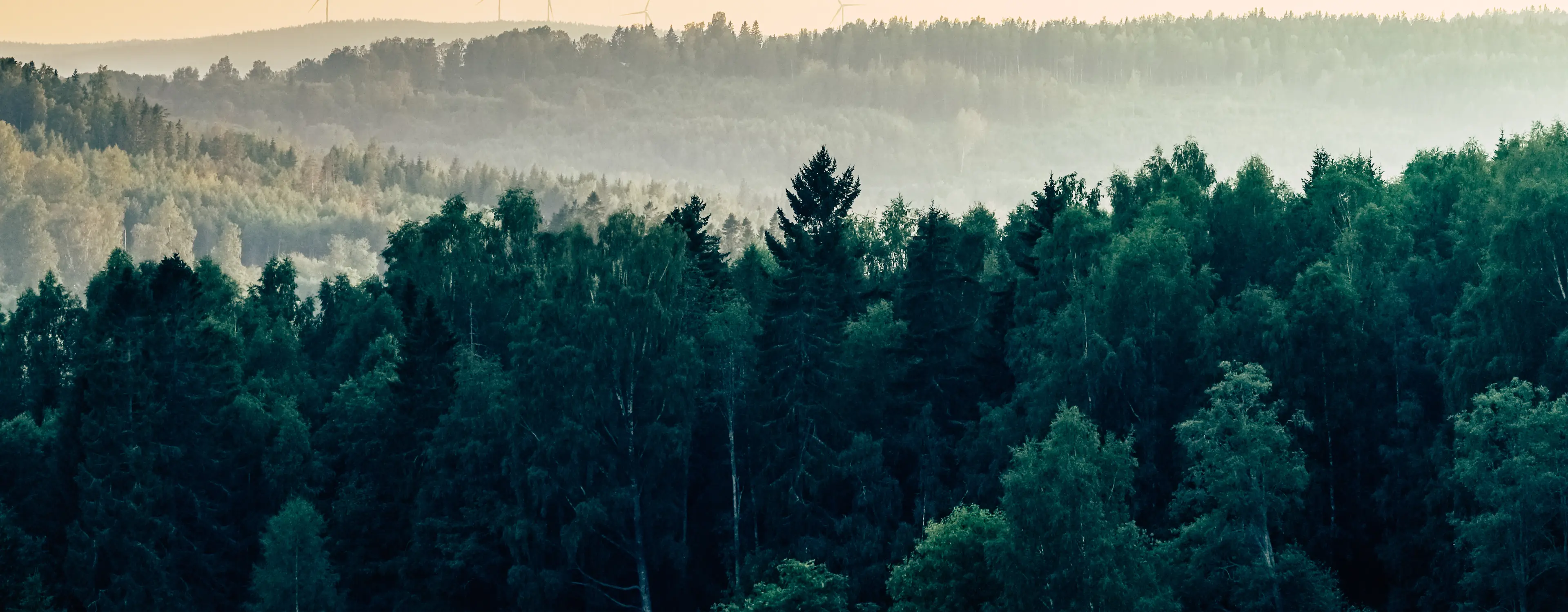 Find Active Mill Projects & Get Ahead of Bio-Based Trends
