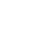 IIR Logo Globe