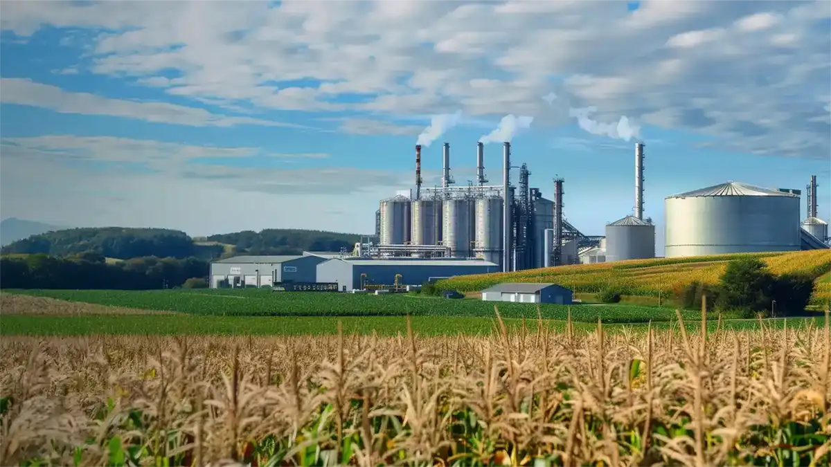 Eni Secures Funding for Italy Biofuels Plant